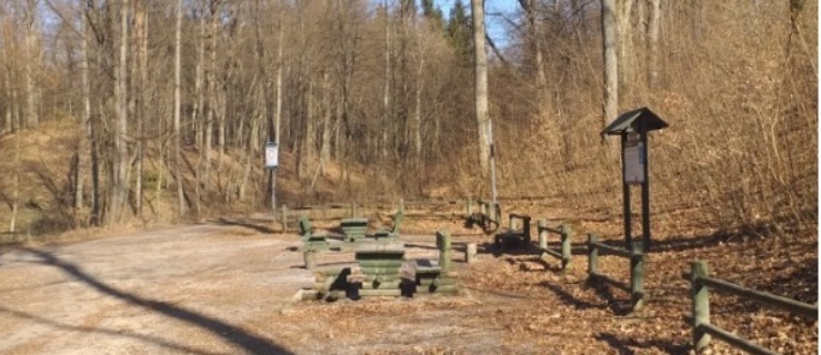 Kontrola i remont obiektów turystycznych w Nadleśnictwie Elbląg