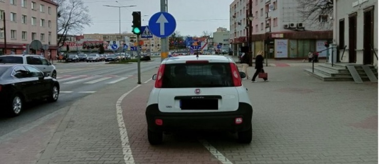 Co rowerzyści powinni wiedzieć?