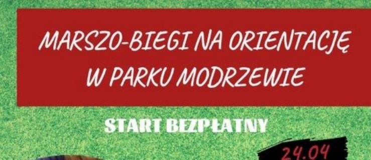 Maszeruj lub biegaj w Parku Modrzewia