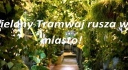 Zielony tramwaj wyjdzie na tory w Elblągu