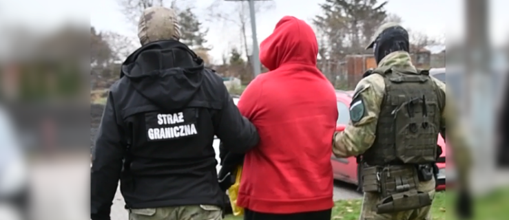 Zorganizowana grupa przestępcza w rękach funkcjonariuszy Straży Granicznej 