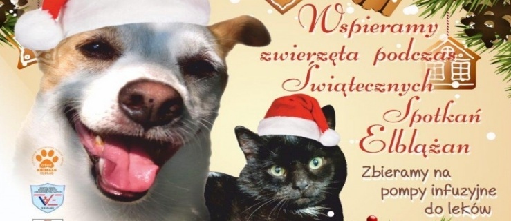 Wspierajmy czworonogi podczas Świątecznych Spotkań
