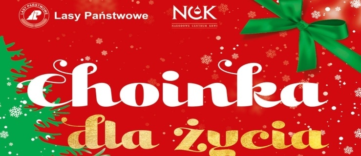 Choinka dla życia 