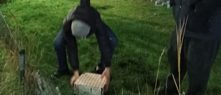 500 zł za używanie fajerwerków w mieście