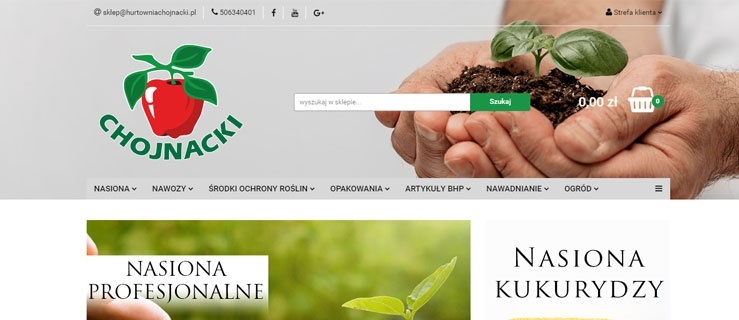 Jak się pozbyć chwastów? Poznaj skuteczne sposoby