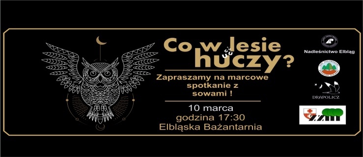 Co w lesie huczy?