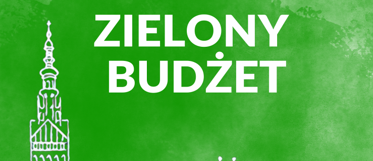 Konsultacje z Zielonego Budżetu