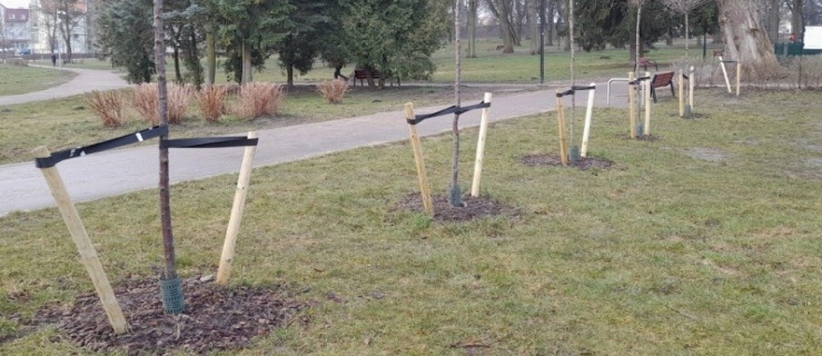 Dzień Ziemi. Tak świętuje Elbląg