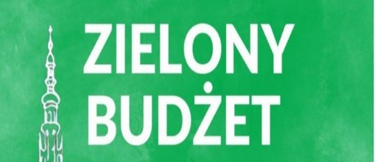 Zielony Budżet - trwa głosowanie