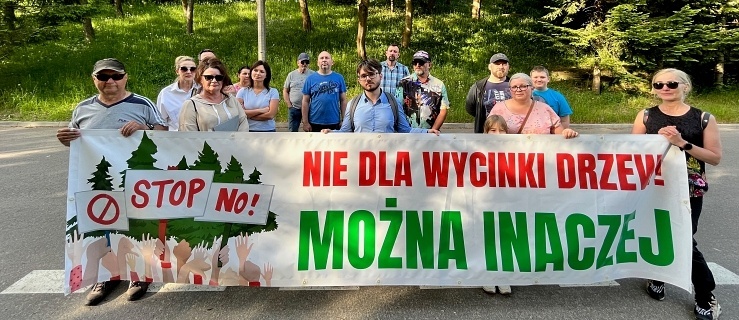 Mieszkańcy protestują przeciwko wycince drzew w Elblągu