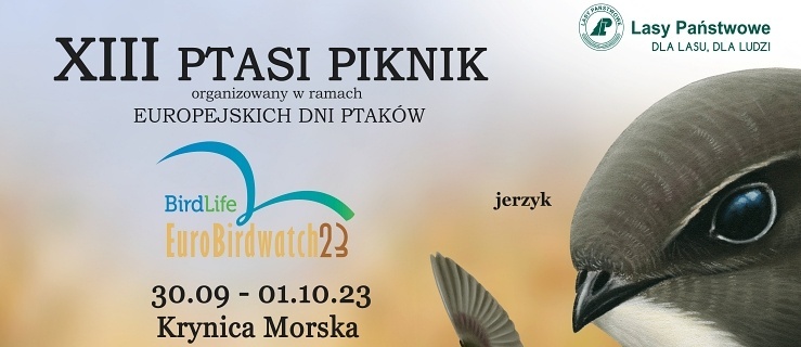 13 Ptasi Piknik w Krynicy Morskiej