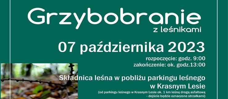 Grzybobranie z leśnikami w Elblągu