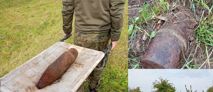 Krowa odkryła...niewybuch. Niebezpieczeństwo zażegnali niebezpieczeństwo
