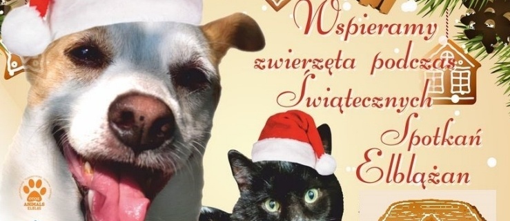 Będzie można wesprzeć zwierzęta podczas Świątecznych Spotkań Elblążan