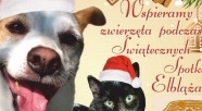 Będzie można wesprzeć zwierzęta podczas Świątecznych Spotkań Elblążan