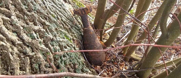 Niewybuchy znaleźli na granicy
