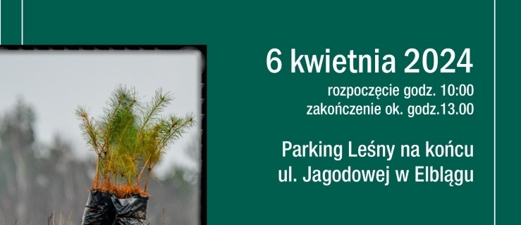 Sadzenie lasu z leśnikami w Elblągu
