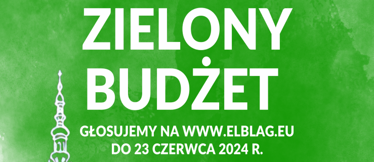 Wyniki IV edycji Zielonego Budżetu
