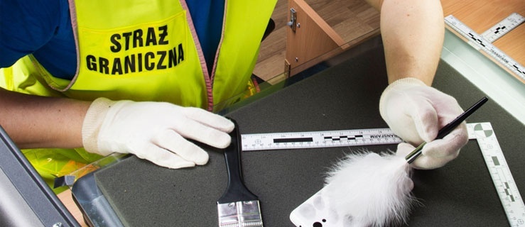Ułatwienia dla kandydatów do służby w Straży Granicznej
