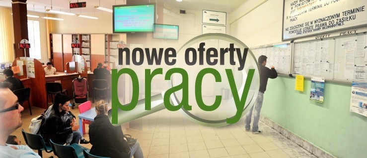 Oferty pracy dla osób bezrobotnych i poszukujących pracy.