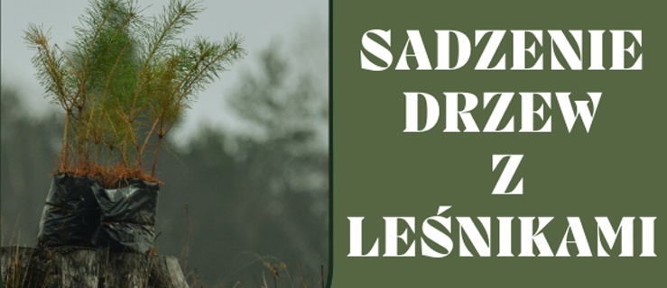 Sadzenie drzew z leśnikami