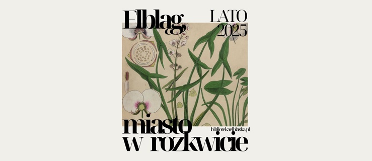Elbląg, miasto w rozkwicie