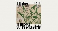 Elbląg, miasto w rozkwicie