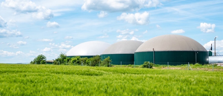 Biogaz czy fotowoltaika – co wybrać?