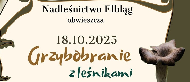 Grzybobranie z Nadleśnictwem Elbląg