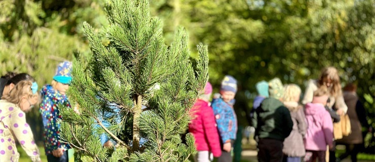 Zapraszamy na wspólne sadzenie drzew 27 października!