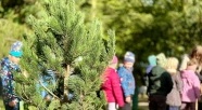 Zapraszamy na wspólne sadzenie drzew 27 października!