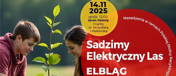 Z elektroodpadów wyrasta las – posadźmy razem 37 drzew!