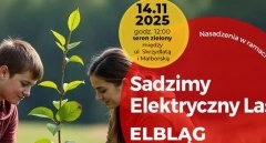 Z elektroodpadów wyrasta las – posadźmy razem 37 drzew!