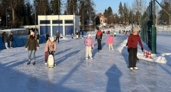 Aktywna zima na ślizgawkach