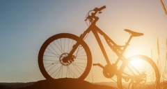 Jakie typy rowerów górskich są najpopularniejsze?