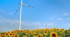 Najbardziej poszukiwane zawody techniczne w dobie transformacji energetycznej