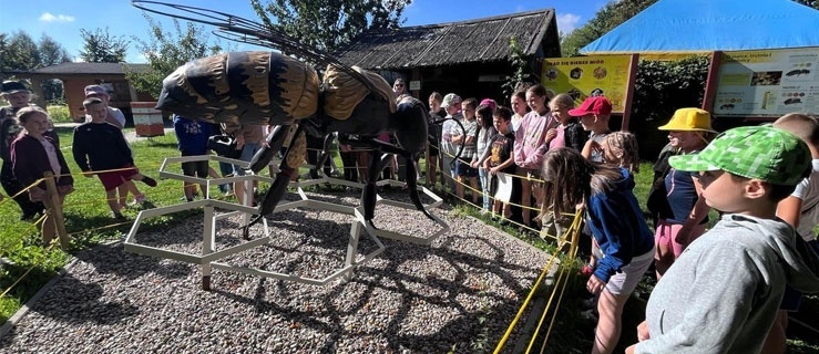 Zapisz dziecko na półkolonię