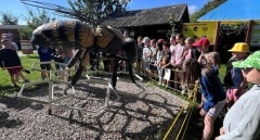Zapisz dziecko na półkolonię