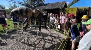 Zapisz dziecko na półkolonię