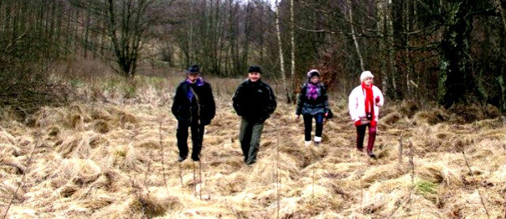 Sobota z przewodnikiem - Koło Przewodników i Pilotów Turystycznych PTTK zaprasza