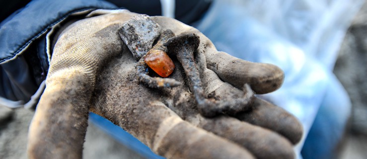 Co znaleźli studenci z Poznania? Prace archeologiczne w muzeum