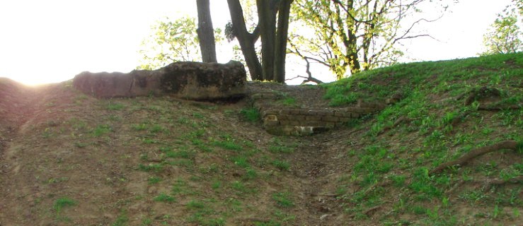 Park Traugutta. Magiczne miejsce w Elblągu