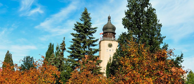 Urzędowa strona od dziś działa na nowym serwerze