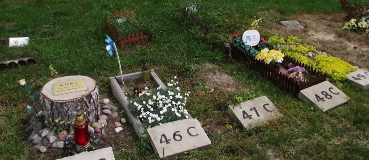 Czy na najbliższej sesji radni zajmą się cmentarzem dla zwierząt?