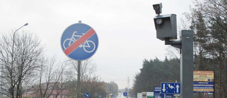Szaraki też robią zdjęcia