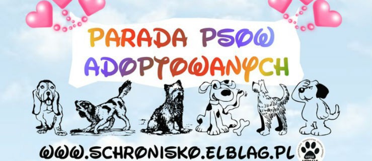 W sobotę parada. Ulicami miasta przejdą psy adoptowane