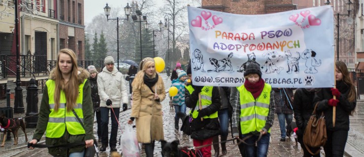 Parada psów przeszła ulicami naszego miasta