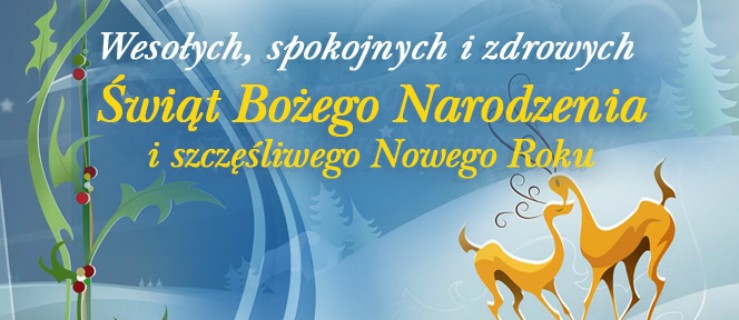 Wesołych Świąt i Szczęśliwego Nowego Roku życzy Poseł Elżbieta Gelert