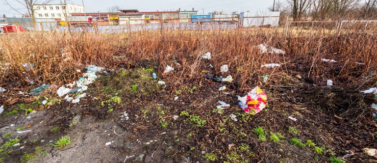 Dzikie wysypiska muszą jak najszybciej zniknąć z elbląskiego krajobrazu