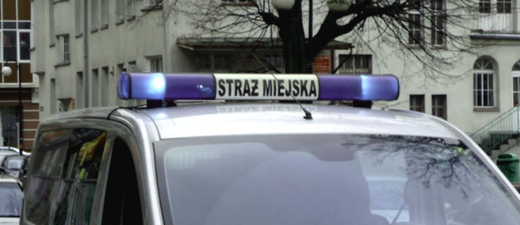 Na drodze do skupu złomu spotkali strażników